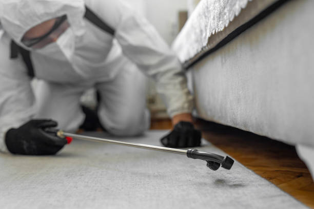 Professional Bed Bug Control technician working in Lake Providence, LA