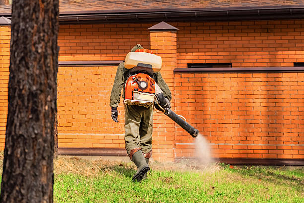 Trusted Mosquito Control service in Lake Providence, LA - Nex Pest Control